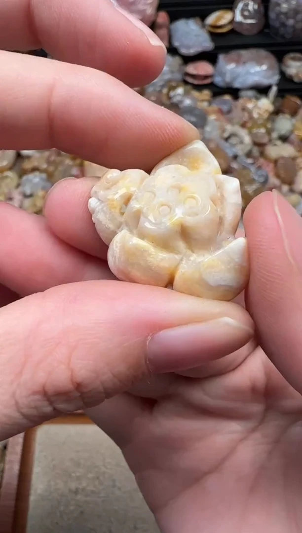 颈饰未镶嵌硅化珊瑚（珊瑚玉）060