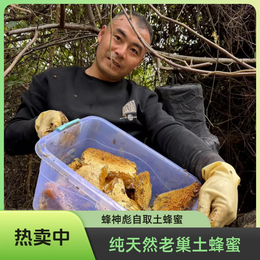 蜂神彪原摘湖南乌桕花巢蜜