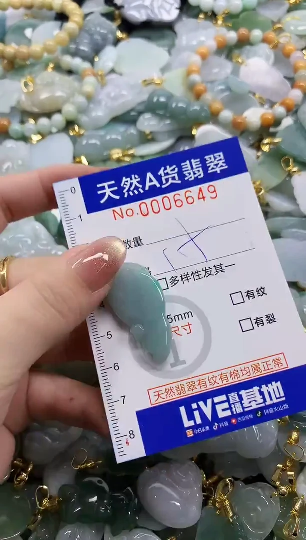 颈饰未镶嵌翡翠天然A货翡翠