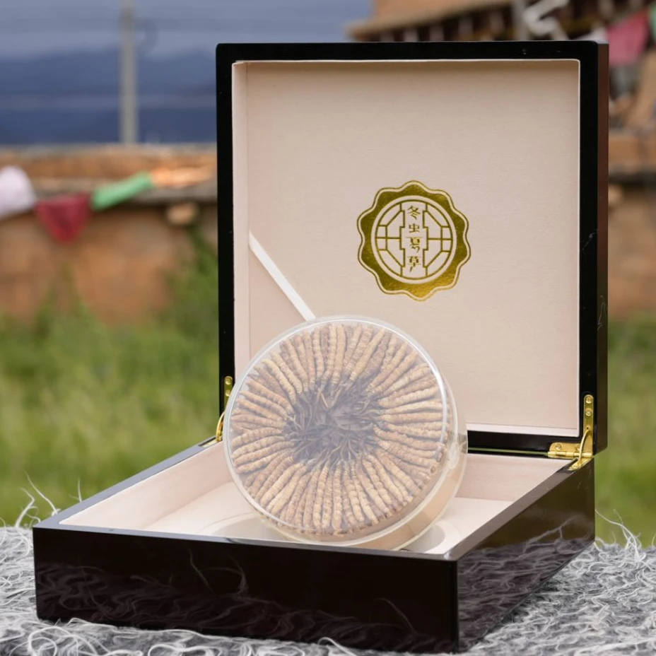 【拉姆专属】精选平均3.5根/克  100根  2025新干冬虫夏草滋补送礼