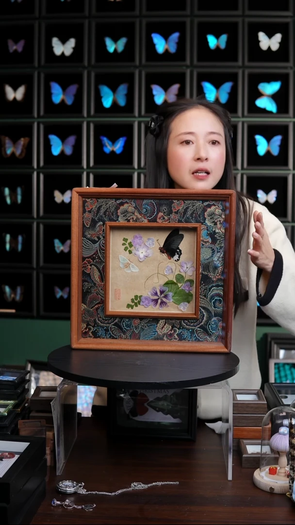 蝴蝶压花干制标本摆件N22