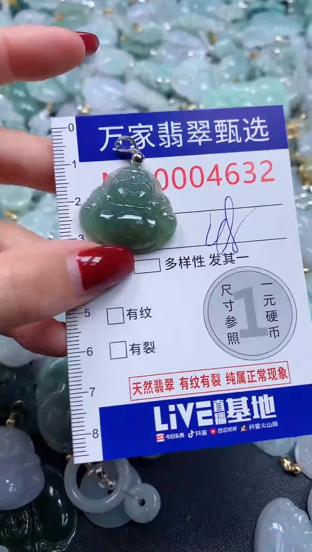 颈饰未镶嵌翡翠4632