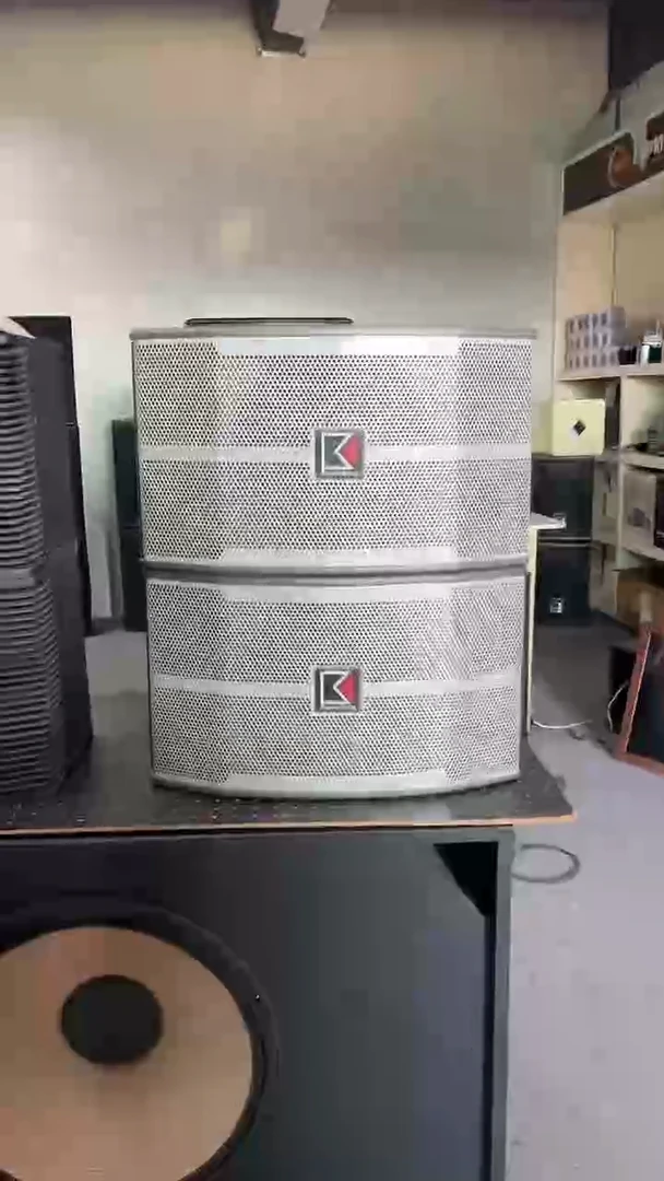 8新不包邮 10寸卡包音响  KTV音箱一对   运费到付
