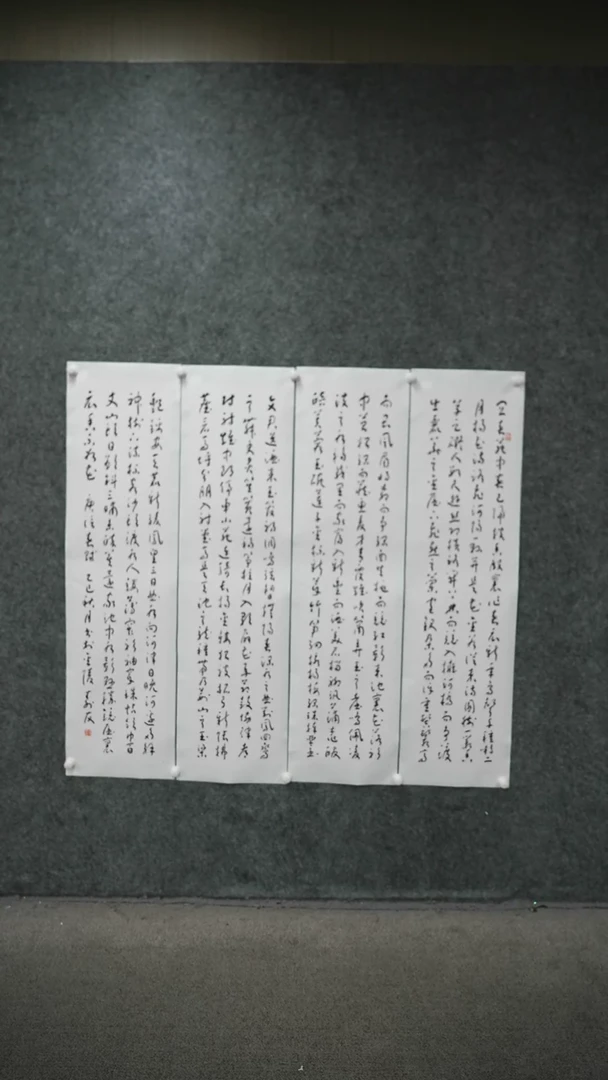 书法书法zsy老师作品