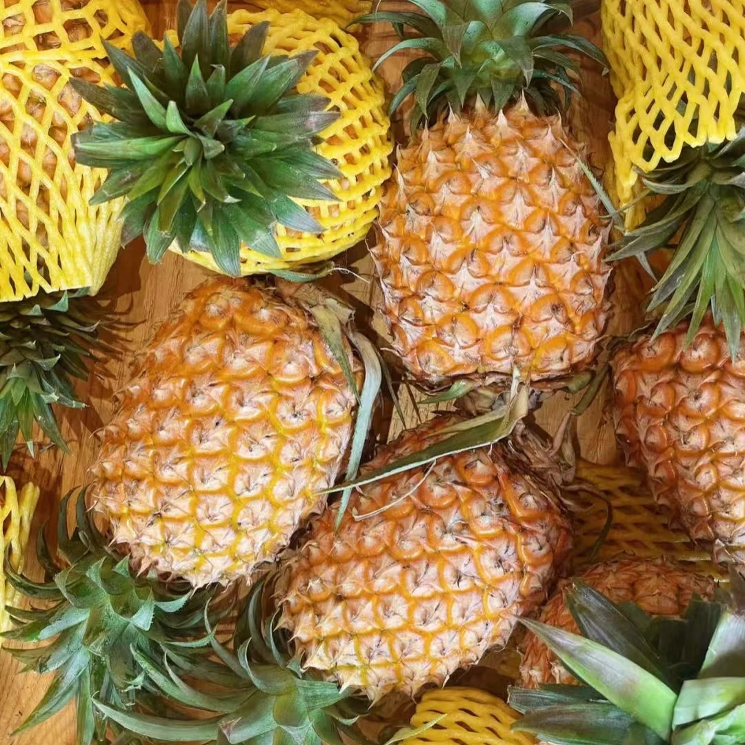 果切【新鲜到货】海南金钻凤梨整个切约800g