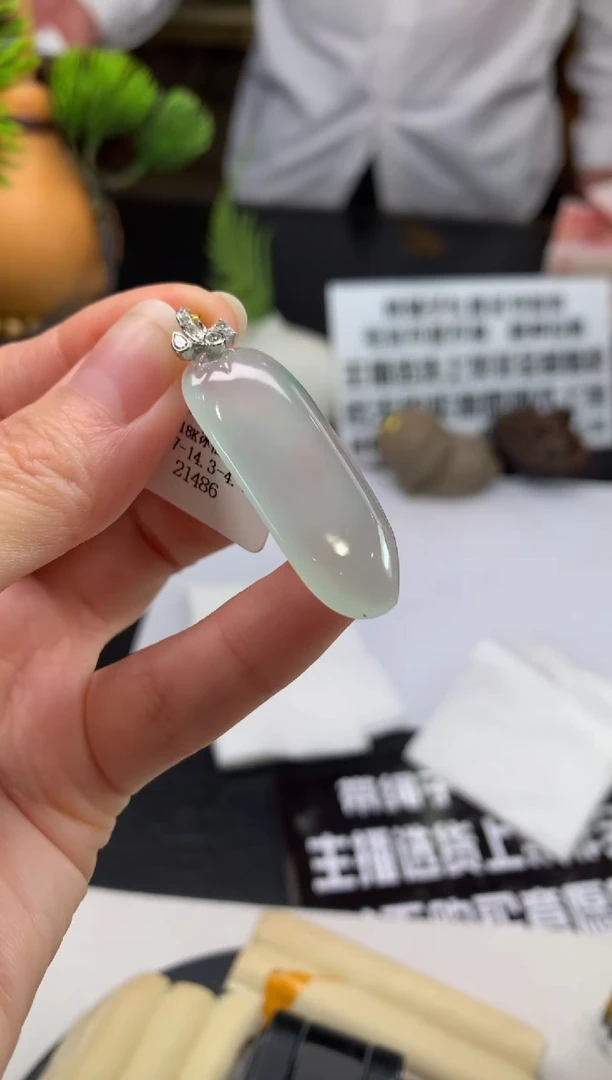 颈饰未镶嵌翡翠知**人---117008