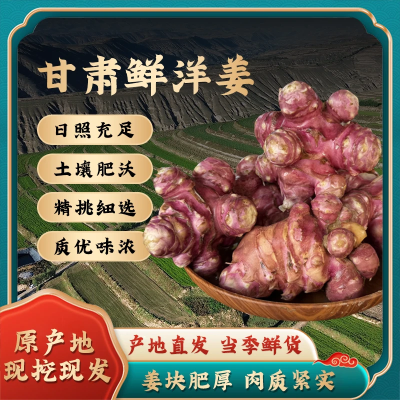 农雁玲高原现挖红皮洋姜大小混装/菊芋/胰岛果/炒拌腌泡酱菜煲汤