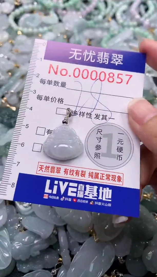 颈饰未镶嵌翡翠857