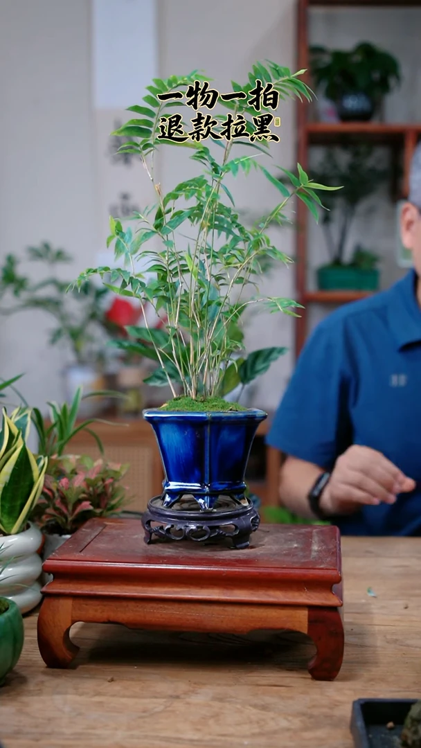 完全开放吴*喵米竹983