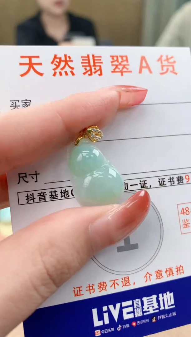 颈饰未镶嵌翡翠天然A货翡翠挂件