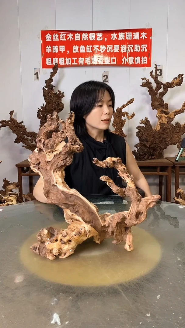 香榧木坚***头金丝红木   羊蹄甲