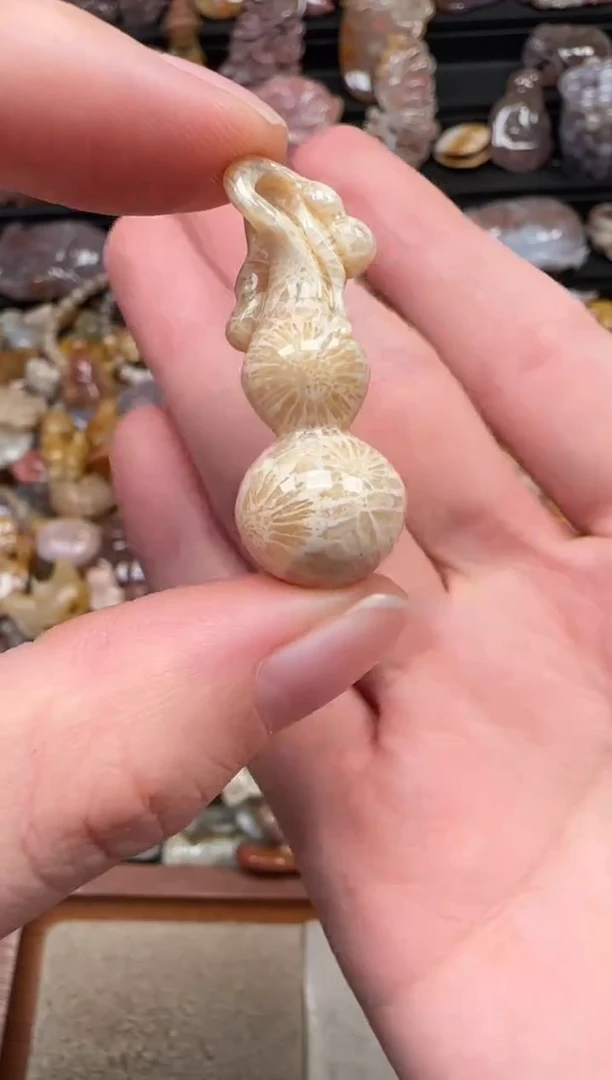 颈饰未镶嵌硅化珊瑚（珊瑚玉）620