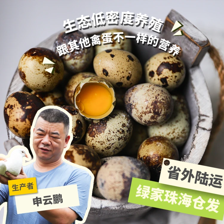生态鹌鹑蛋 500g/1KG绿手指份额农园