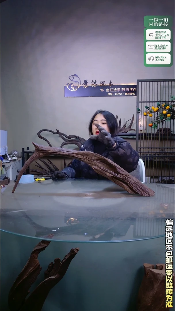 景沐沉木C446 75-12-28