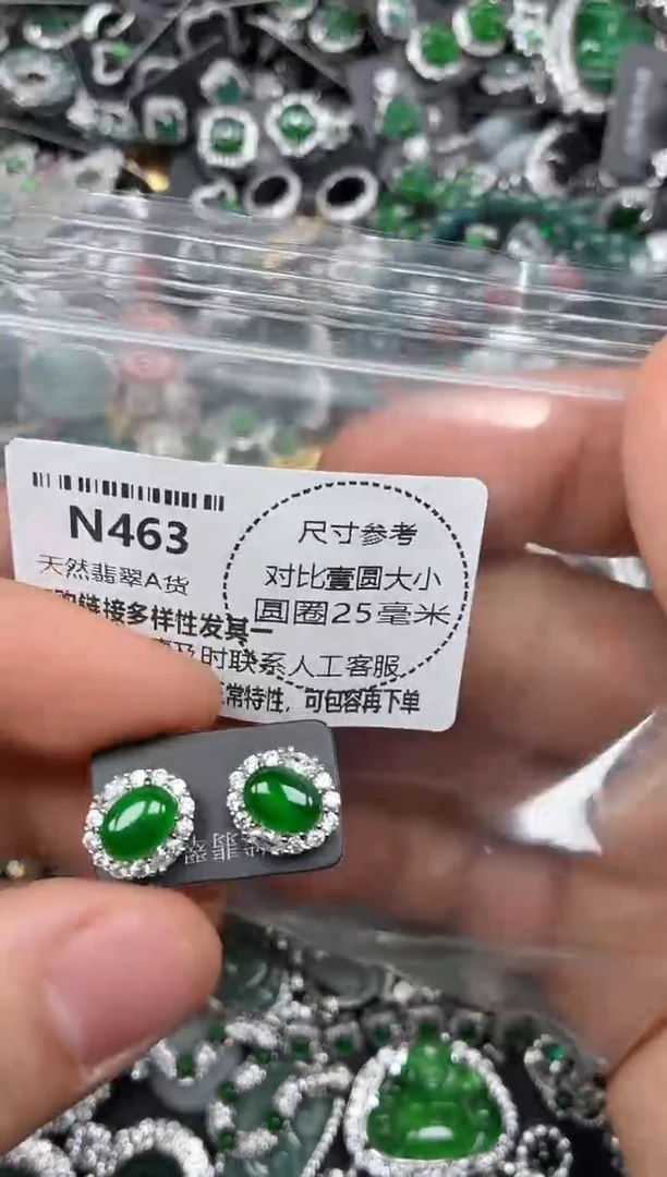 颈饰未镶嵌翡翠N463耳钉