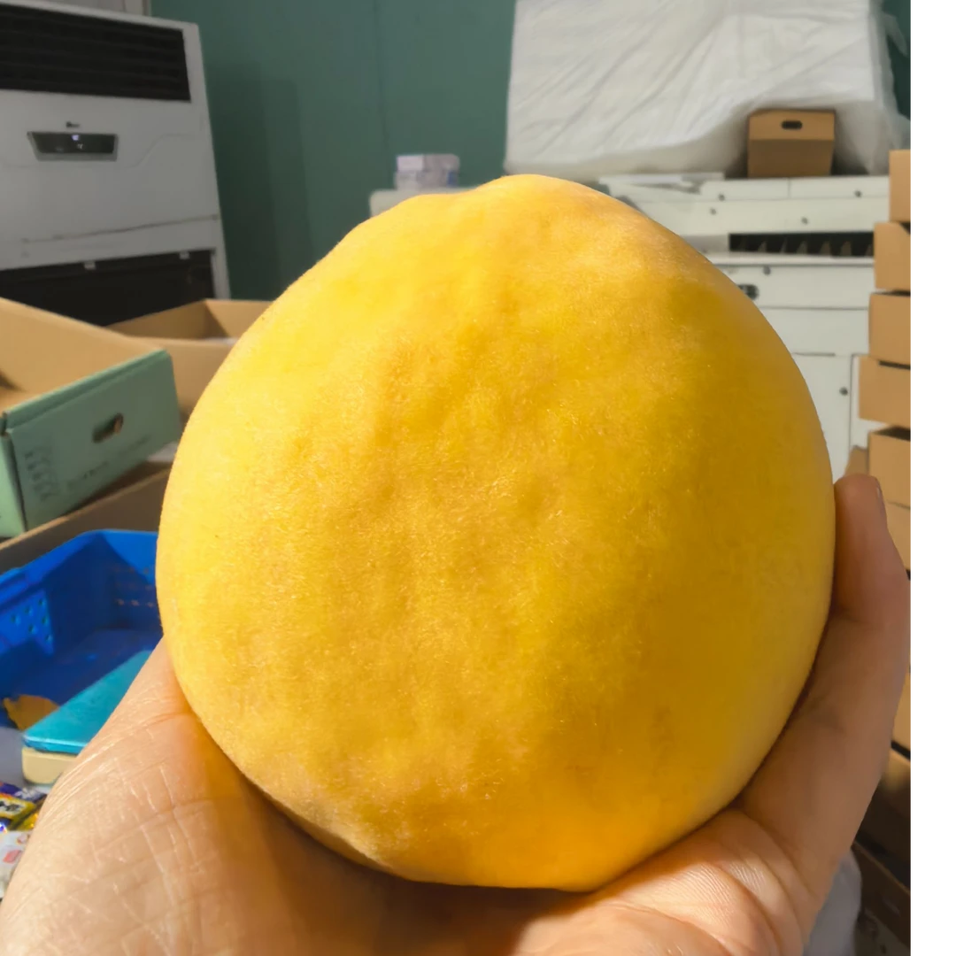 奉贤黄桃现摘现发