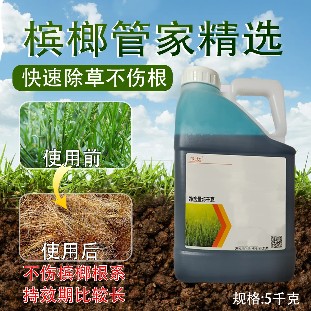 【槟榔管家不伤根精草直播间专用】（链接重做）