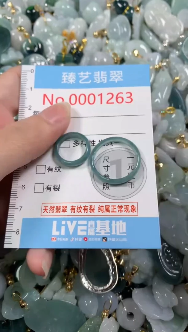 吊坠(不含链)未镶嵌翡翠1263