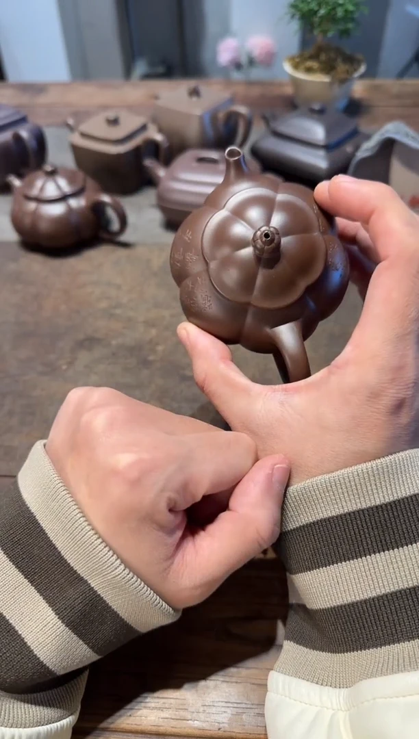 茶壶紫砂蜗**士大鱼海棠