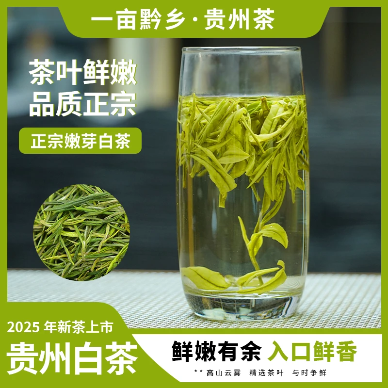 一亩黔乡B24早春明前白茶贵州绿茶25新茶高山兰花香鲜爽回甜