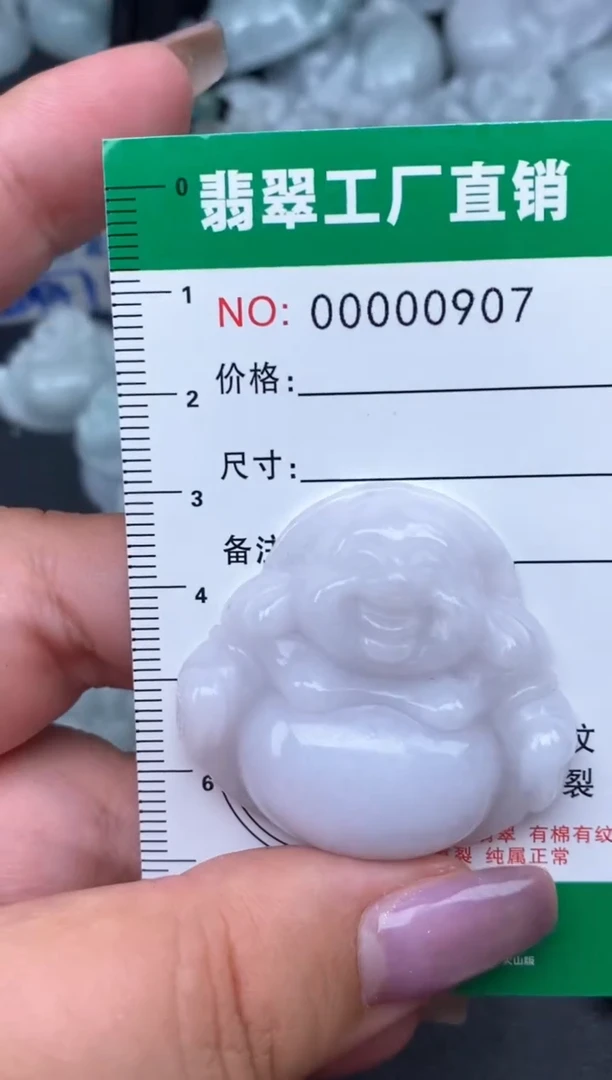 翡翠未镶嵌颈饰缅甸天然A货翡翠0907