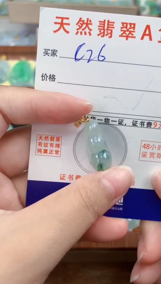 颈饰未镶嵌翡翠天然A货翡翠挂件