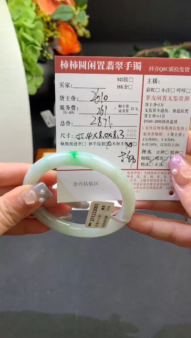 未镶嵌手镯翡翠姐姐251222003