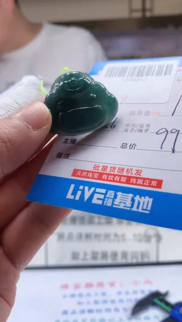 颈饰未镶嵌翡翠天然翡翠A货拍一发一