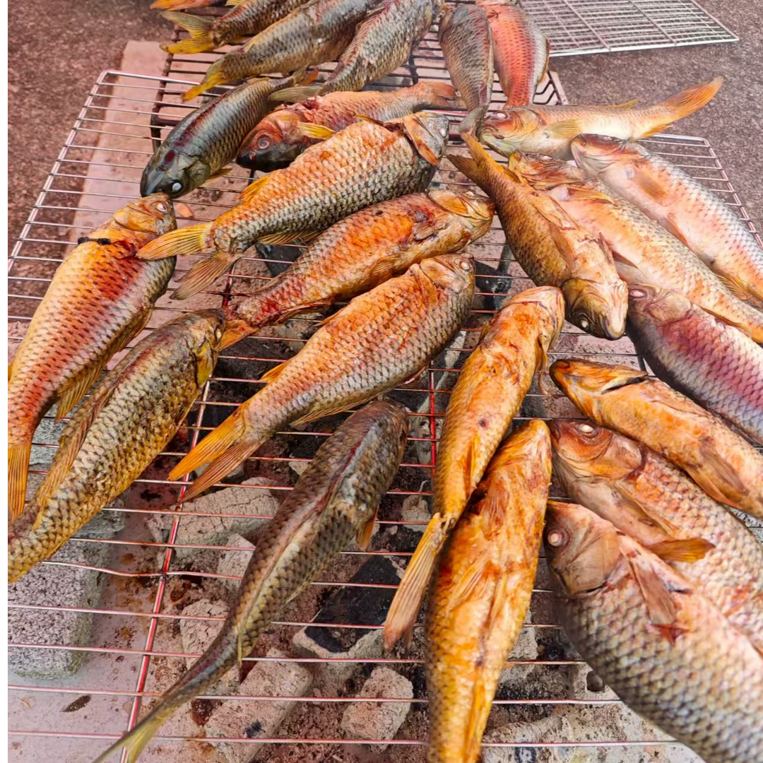 烧鱼贵州土特产榕江烧鱼农家小吃美食酸鱼稻花鱼从江黎平