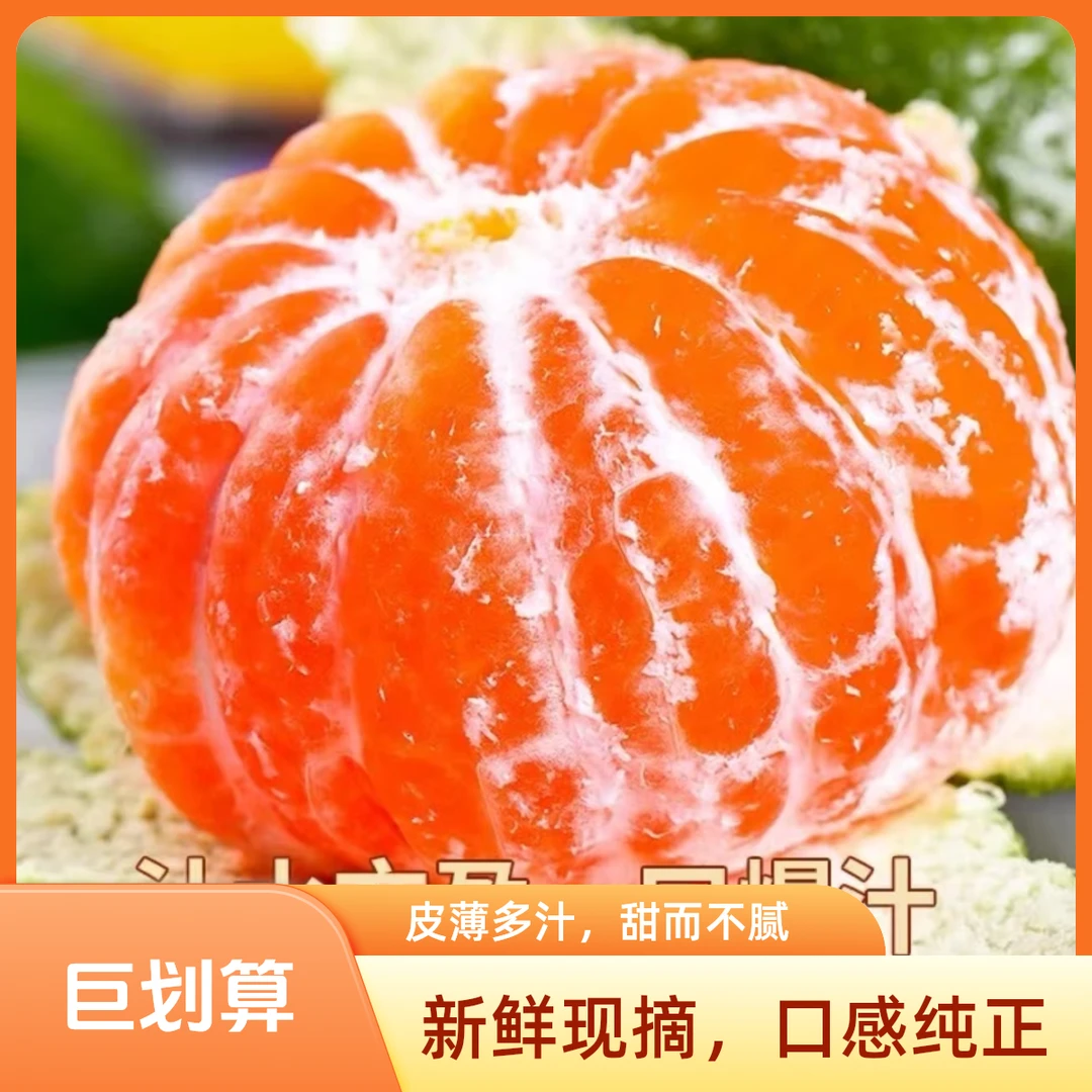 （次日达）正宗云南高山蜜桔现摘现发云南省