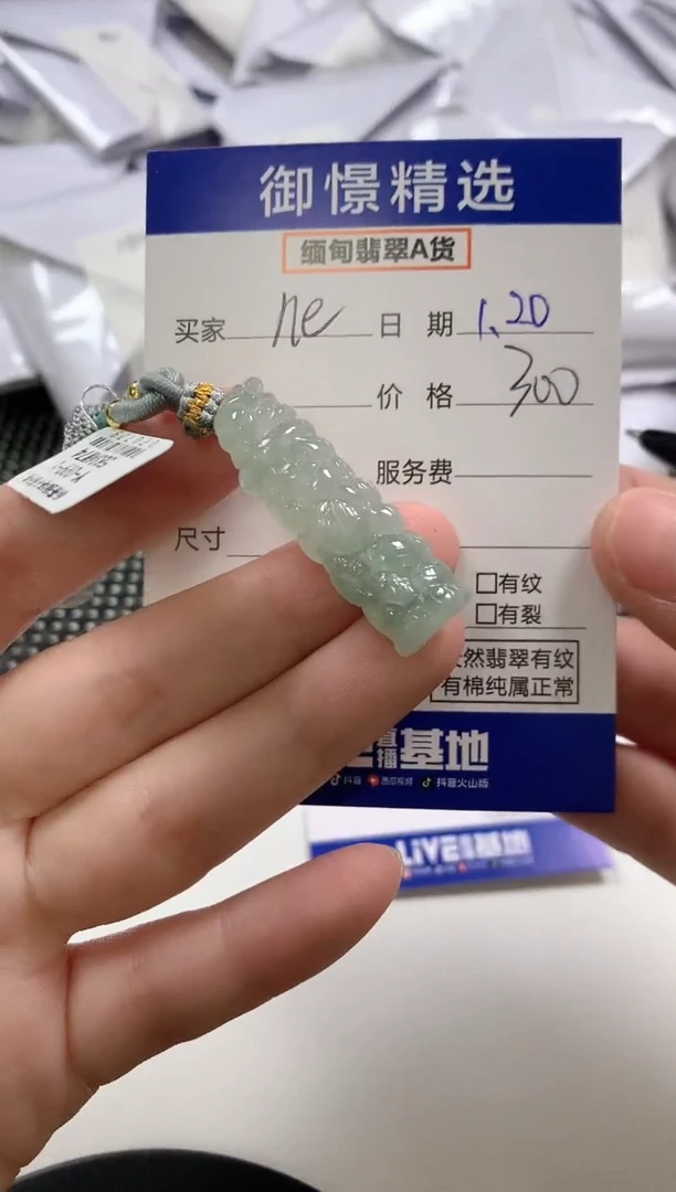 【闪购商品】翡翠颈饰未镶嵌5