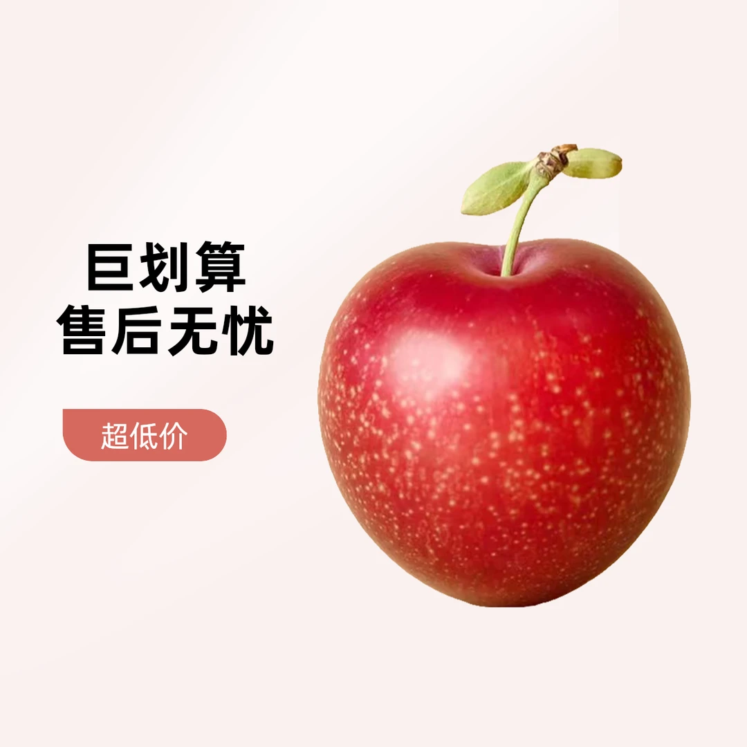 新西兰进口脆蜜李李子同城送