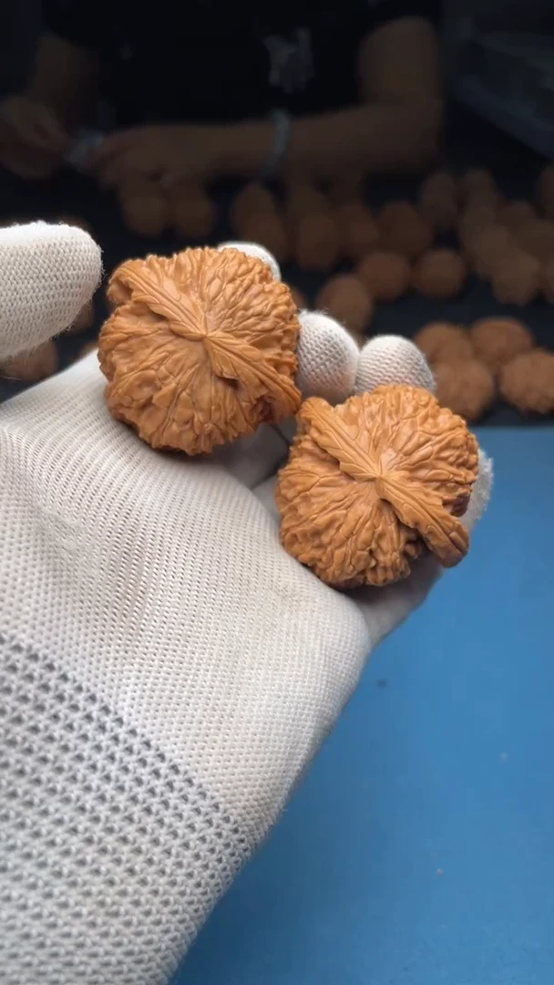 桃核把件a183  白狮子 44尺