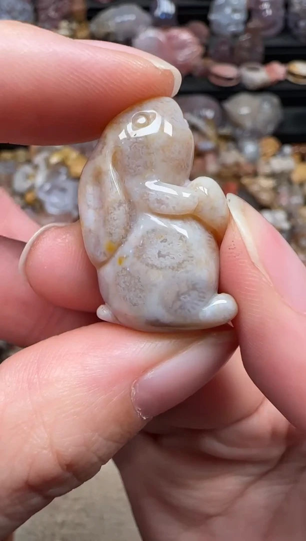 颈饰未镶嵌硅化珊瑚（珊瑚玉）739