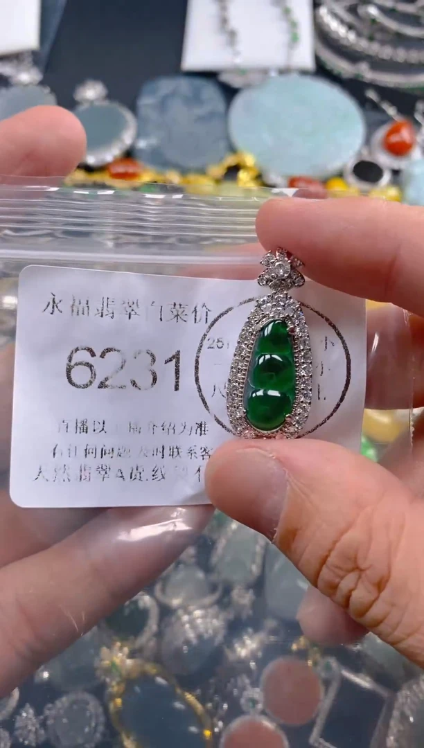 翡翠未镶嵌吊坠(不含链)6231