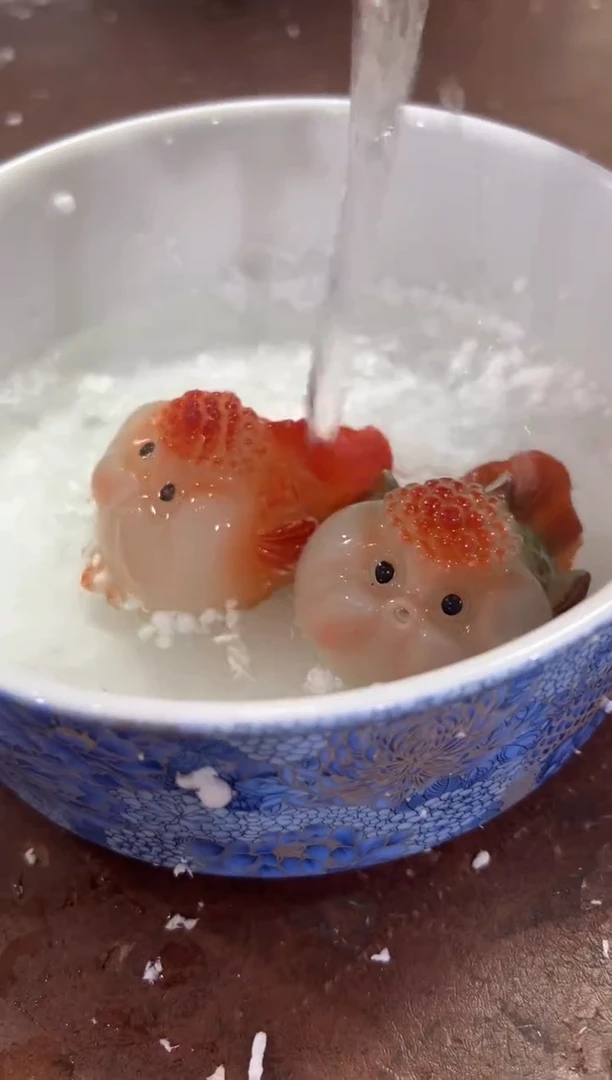 @@@@@@@@@@@无礼盒