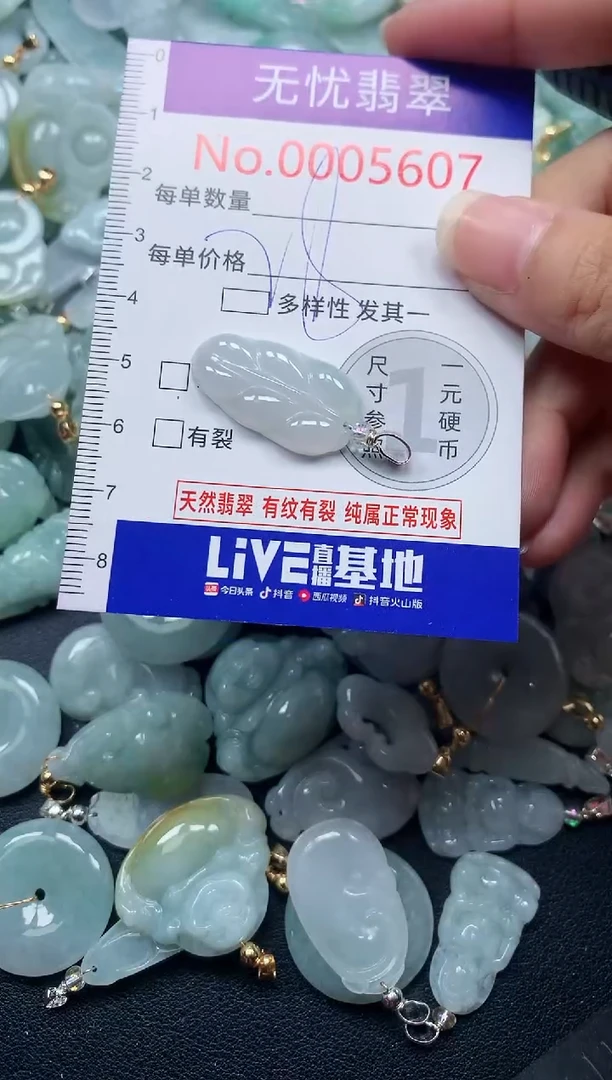 颈饰未镶嵌翡翠5607