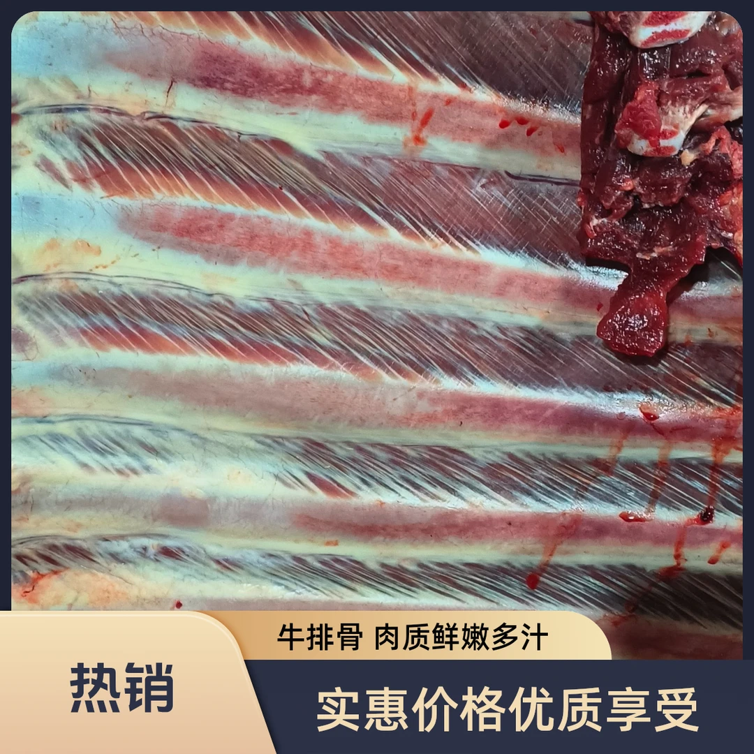 牛排骨90元3斤，炖煮、红烧、煲汤火锅食材