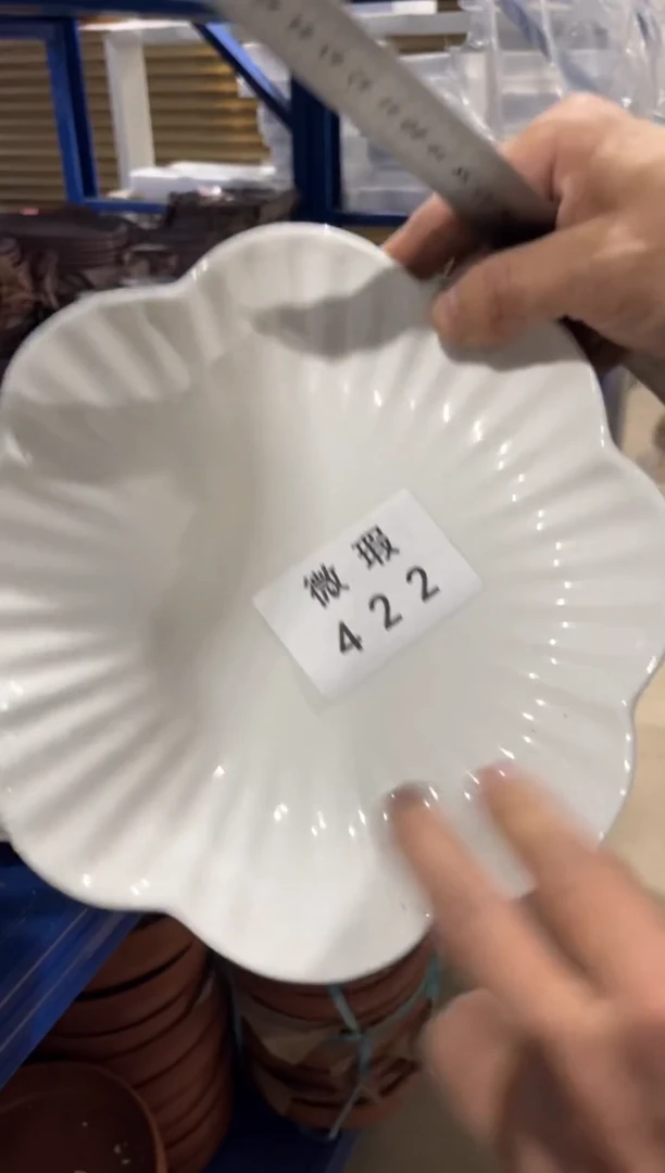 【闪购商品】碗422微瑕陶瓷餐具2个装