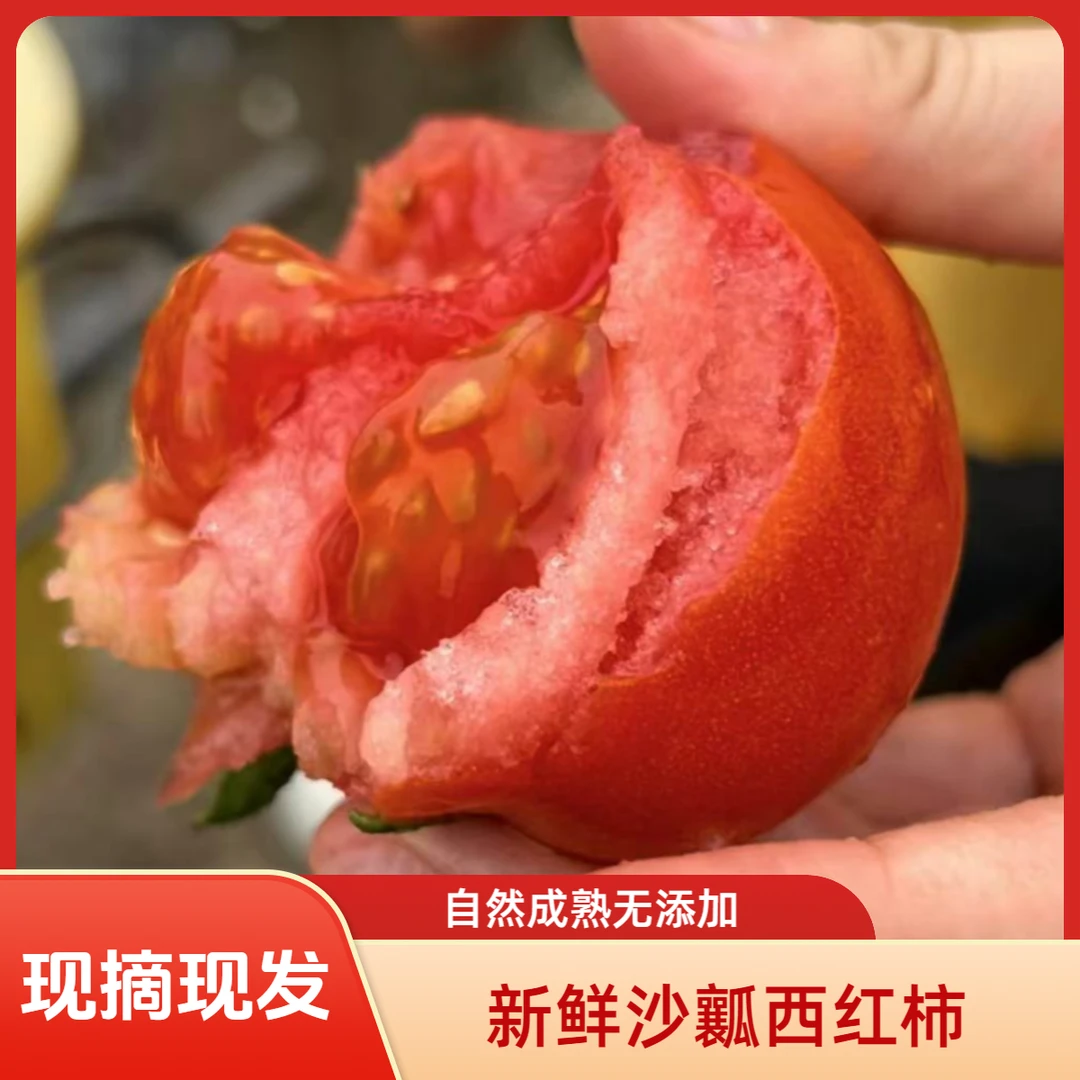 新鲜西红柿沙囊应季水果产地现摘现发水果番茄酸甜口感3斤/5斤装