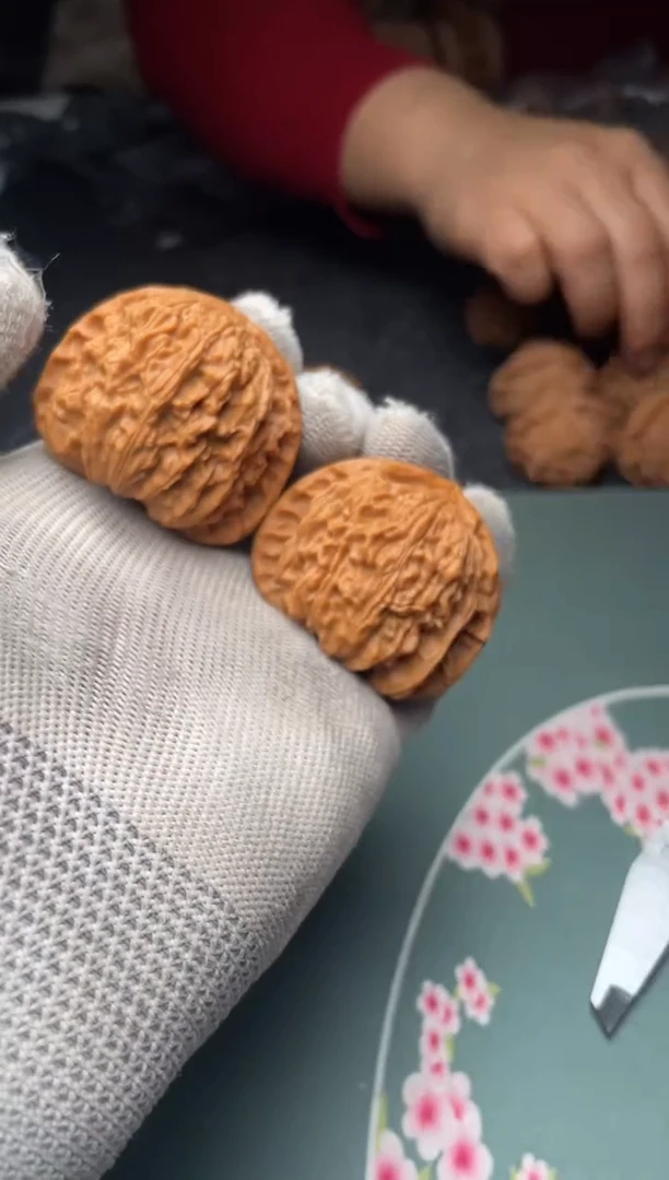 核桃a101    白狮子43尺