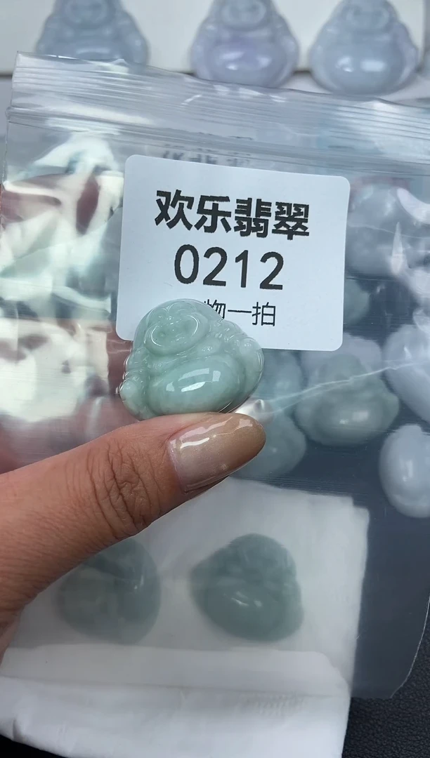颈饰未镶嵌翡翠缅甸天然翡翠0212