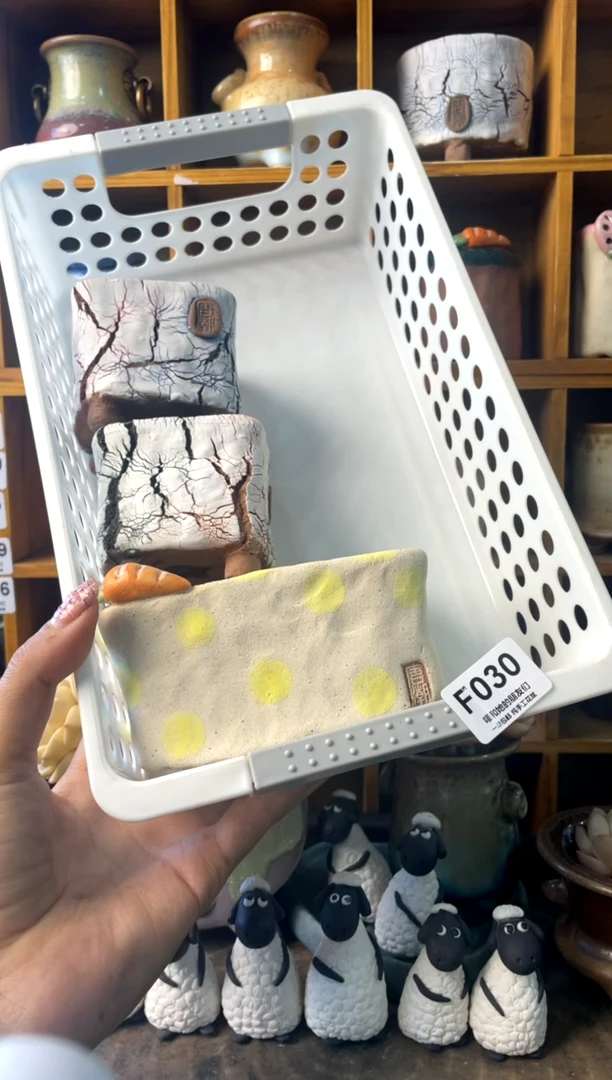 D**妞030【多肉花盆多肉盆】