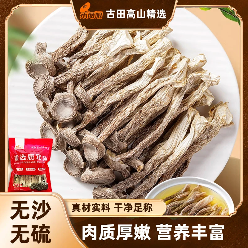 禾菇娘鹿茸菇250/500g源头产家古田高山鹿茸菌干货无硫熏炒肉煲汤