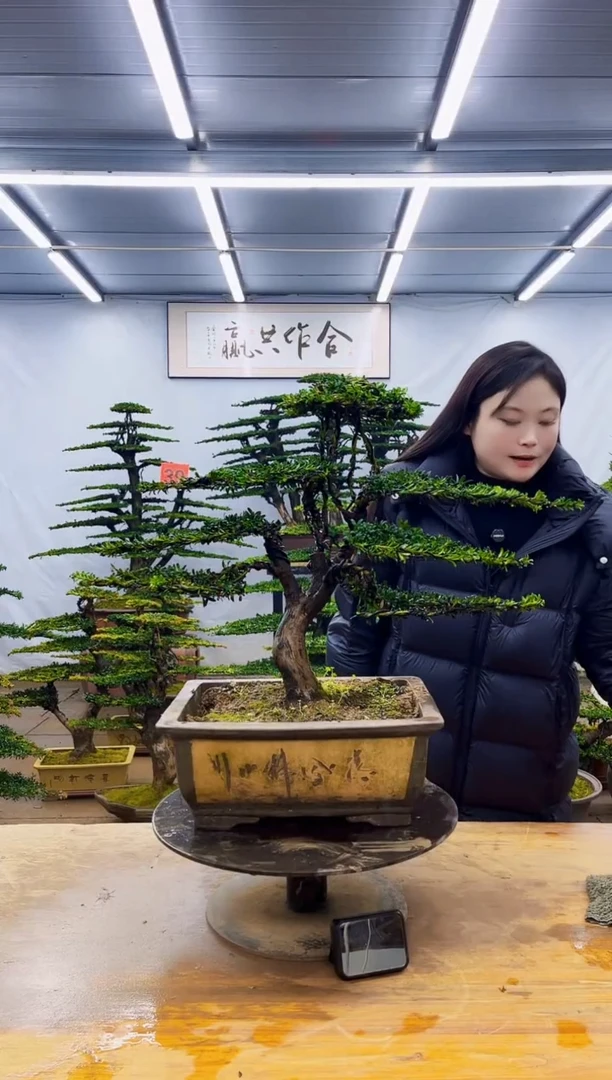 无花朵一物一拍·所见即所得