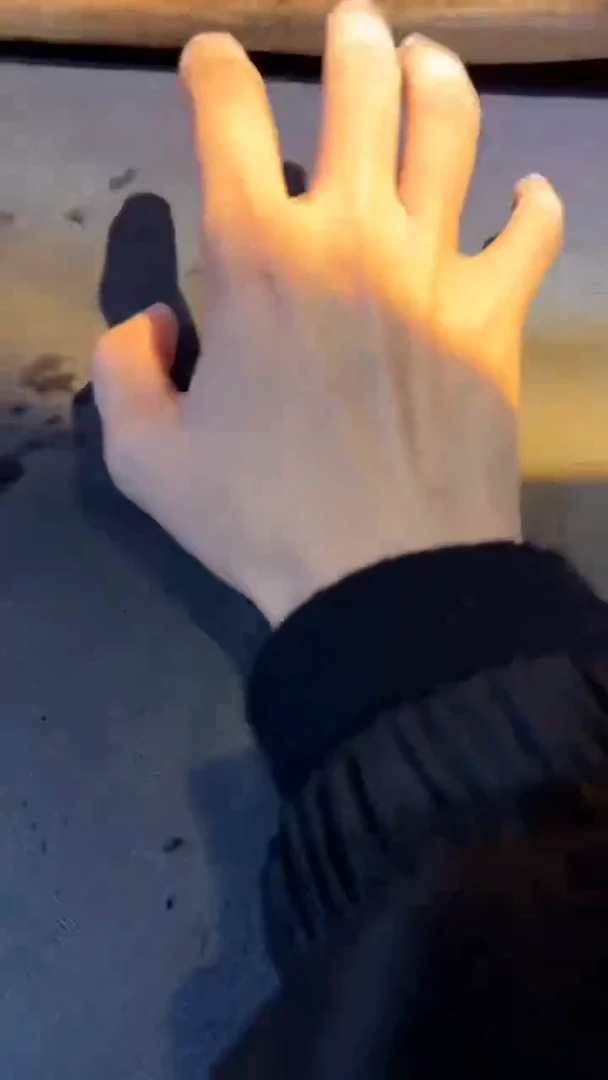 【闪购商品】茶盏杨飞燕科研院院长公道