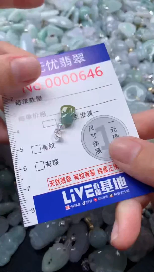 颈饰未镶嵌翡翠646