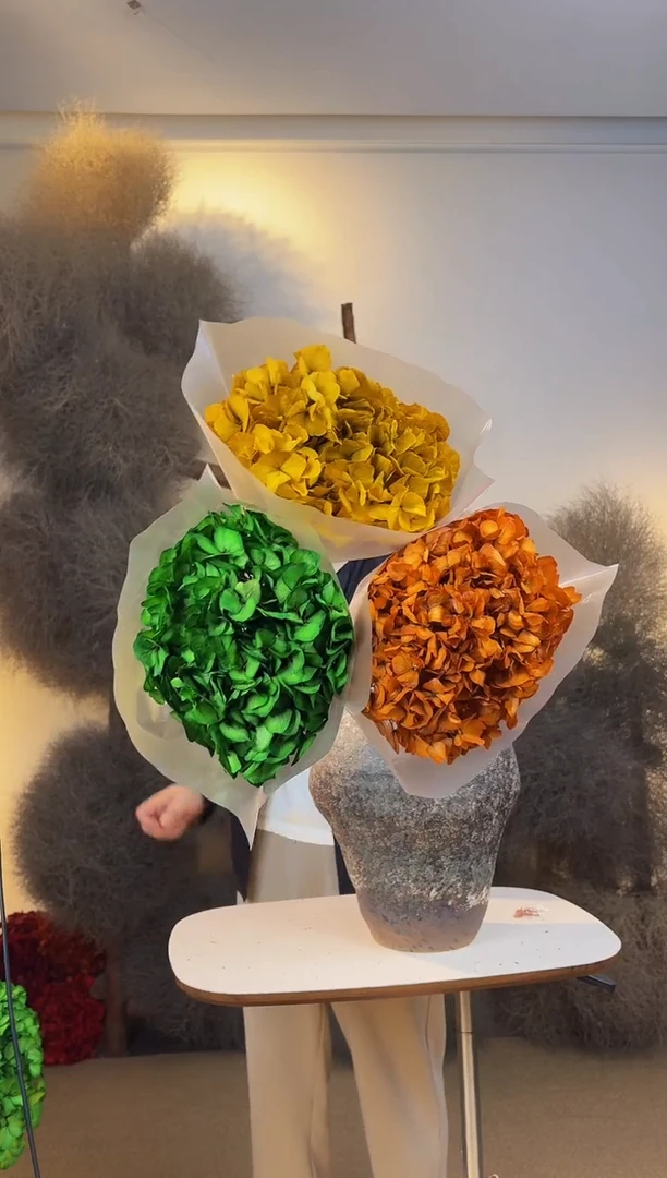 133  山前小麦 · 永生大叶绣球3枝（橙/绿/黄）