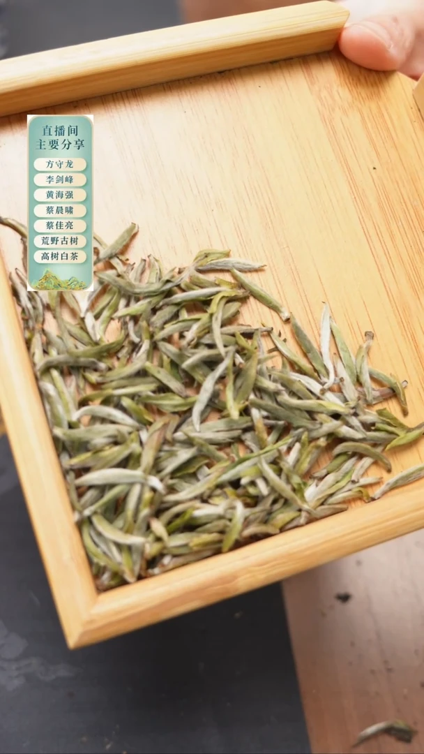 2025年太姥山炭焙特级银针50克