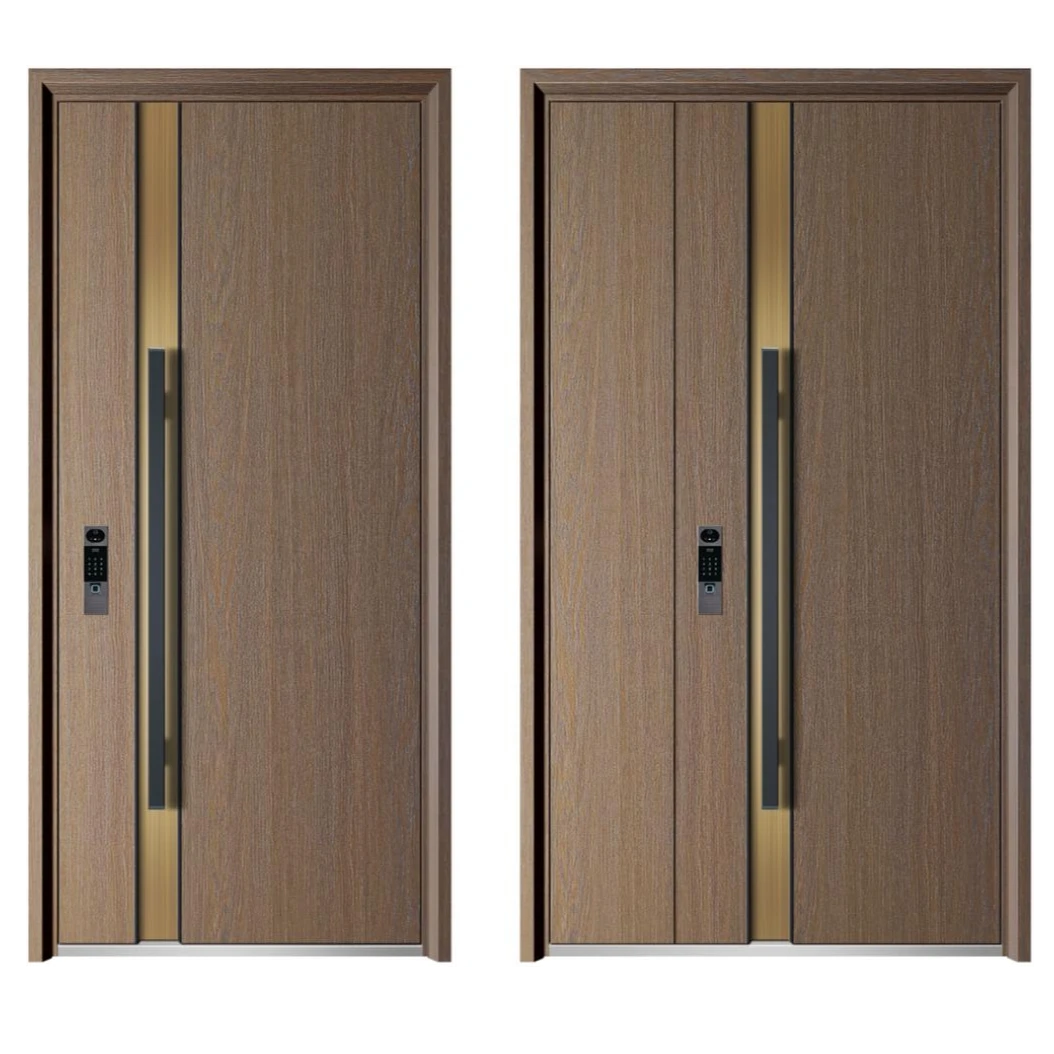 聚氨酯发泡填充入户门入户大门全尺寸现货-古名